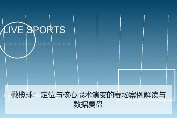 橄榄球：定位与核心战术演变的赛场案例解读与数据复盘