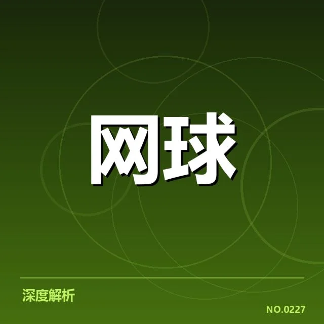 本阶段法网男单决赛参赛选手及数据